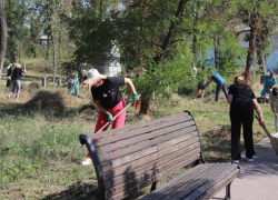 День чистоты провели шахтинцы в Александровском парке 