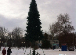 В городском парке и в поселке Красина до сих пор стоят новогодние елки