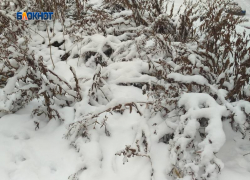 Синоптики прогнозируют снег в течение всего дня