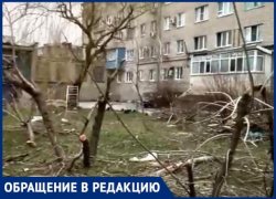 Лесоповал на детской площадке: куда смотрят шахтинские власти?
