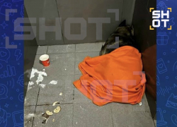 Парк птиц "Малинки" предложил работу уволенному курьеру из пиццерии за спасение собаки от холода