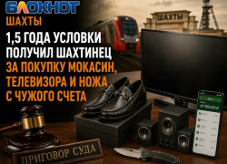 1,5 года условного срока получил шахтинец за покупку мокасин, телевизора и ножа с чужого счета