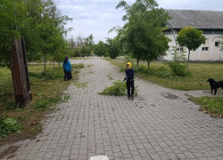В Шахтах продолжаются работы по благоустройству территории