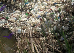 Реку Грушевку в Шахтах в очередной раз завалило мусором