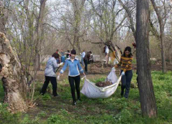 Все на субботник: шахтинцев приглашают принять участие в уборке городских территорий