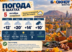 До +20 °C и сильный ветер: какая погода ждет Шахты 5 октября