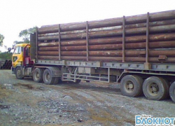 В поселке Аюта задержали грузовик, незаконно перевозивший 50 кубов леса 