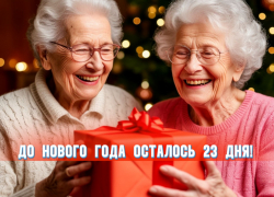 До Нового года осталось 23 дня 