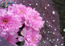 С утра выглянет солнце, а после будет пасмурно