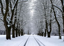 МЧС Ростовской области предупреждает о плохой погоде с 31 января по 3 февраля