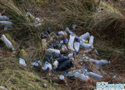 Площади очагов мусора в Шахтах разрастаются