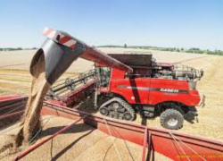 8 миллионов тонн хлеба уже собрано на донских полях