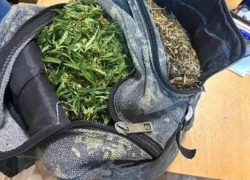 У жителя Шахт в рюкзаке нашли 930 граммов марихуаны