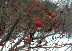 Сегодня потеплеет и пойдет дождь