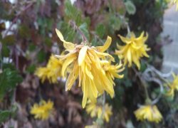 Сквозь облака проглянет солнце