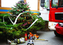 Чья лучше: в управлении МЧС объявили конкурс на самую креативную ёлку
