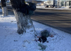 Центральная улица Шахт погружается в мусорный хаос