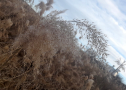 И не зима, и не весна: погода вступила в переходный период