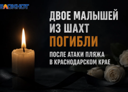 Двое малышей из Шахт погибли в результате атаки БПЛА в Краснодарском крае