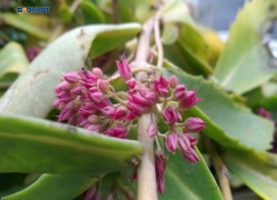 Пасмурная и теплая погода еще порадует