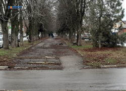 Пасмурная погода днем сменится к ночи дождем