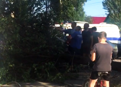 В Шахтах спасатели освободили автомобиль из-под поваленного ливнем дерева 
