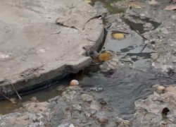 Дети ходят в садик через реки канализационных сбросов в Шахтах