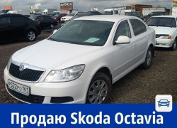 Продаётся «Шкода Октавиа» за 499 тысяч рублей