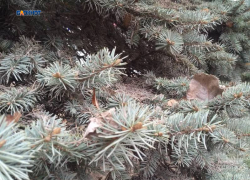 Ожидается дождь со снегом