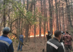 Наказание за пожар будет строже: шахтинцев предупредили об особом противопожарном режиме 