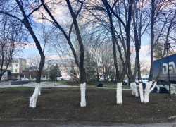 В Шахтах провели генеральную репетицию перед общегородским днем чистоты