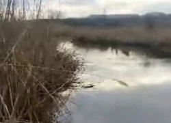  Сброс стоков в став ХБК в Шахтах не подтвердился