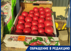 Жители интересуются, когда в Шахтах снизятся цены на огурцы и помидоры