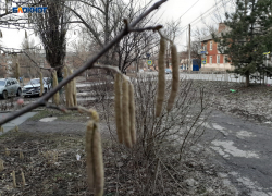 Снег прекратится, будет солнечно, но относительно прохладно