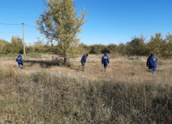  Во время сбора грибов заблудилась женщина