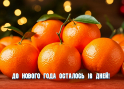 До Нового года осталось 16 дней 