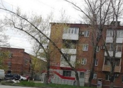 Многометровой аркой изогнулся над дорогой в Шахтах старый тополь 