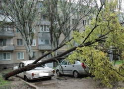 В Шахтах объявлено штормовое предупреждение