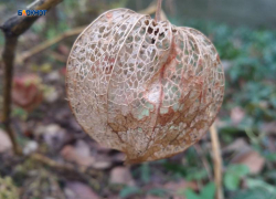 На улице прогреется до +10°C