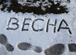 В Шахтах в первые часы весны пойдет снег