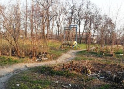 Мимо зарослей бурьяна и мусорных куч идут дети в школу в Шахтах