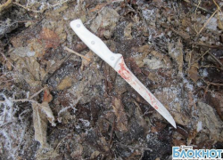 Стали известны подробности убийства 27-летней жительницы города Шахты