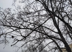 Хмурое серое небо: переменную облачность и снег прогнозируют синоптики в четверг