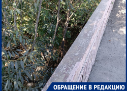 Бурным потоком пополняет Грушевку вода из аварийного трубопровода: Роман Коханов