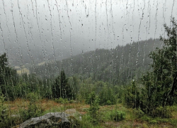 В последние выходные апреля в Шахтах ожидается похолодание и осадки