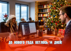 До Нового года осталось 14 дней 
