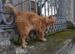 Пасмурная погода сохранится и сегодня