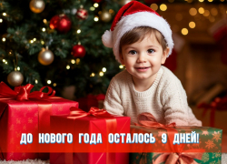 До Нового года осталось 9 дней 