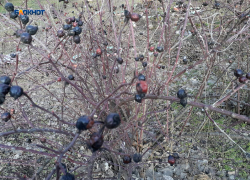 Осадки прекратятся, а днем возможно солнышко