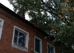  Ветки громадного тополя ломают шифер на крыше дома на улице Театральная в Шахтах